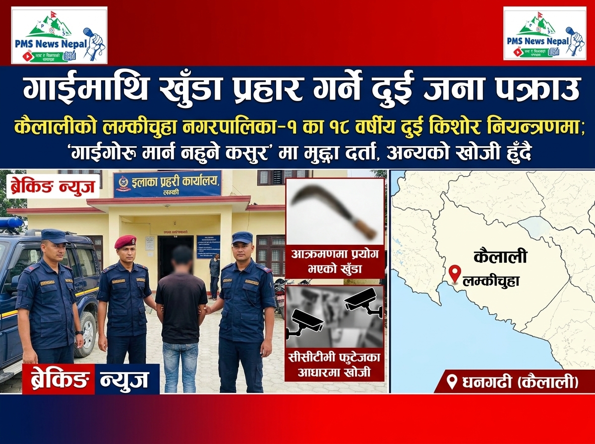 Featured Image of the news article लम्कीचुहामा गाईमाथि खुँडा प्रहार गरेको आरोपमा प्रहरीद्वारा दुई जना पक्राउ